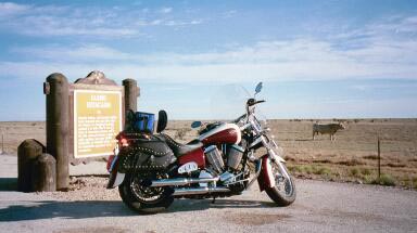 Carmen - Bill Burd's Moped... 51 CCs of shear thunder..