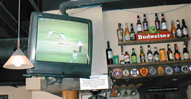 Live Cricket and beer... life is good